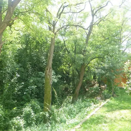 Konukevi Vila Theodora *